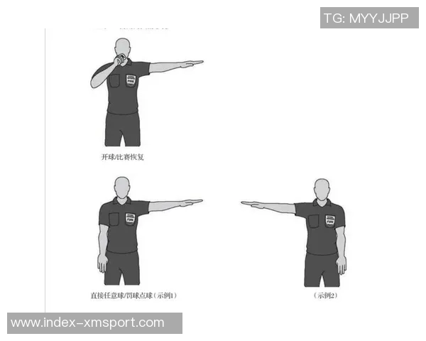 足球裁判员手势解析与应用技巧全面指南助你理解比赛规则与裁判意图